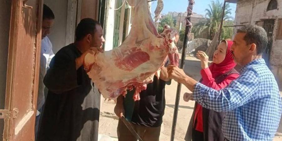 محافظ المنيا: ضبط 814 كيلو لحوم ودواجن وأسماك فاسدة خلال سبتمبر - تواصل نيوز