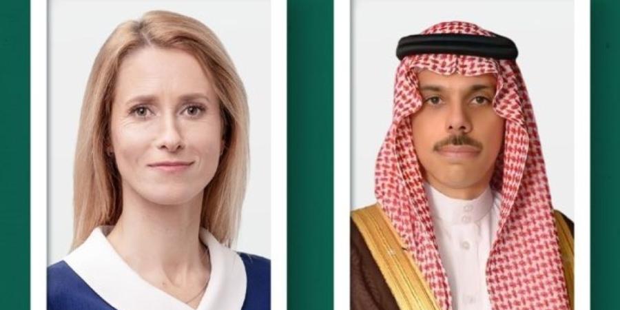 وزير الخارجية يناقش التطورات الإقليمية مع الممثلة العليا للاتحاد الأوروبي - تواصل نيوز
