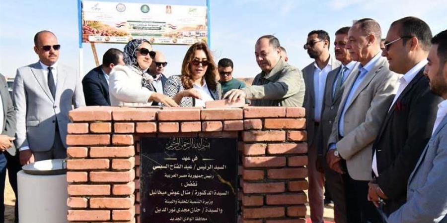 وزيرة التنمية المحلية تضع حجر أساس مجمع الصناعات الغذائية بالخارجة - تواصل نيوز