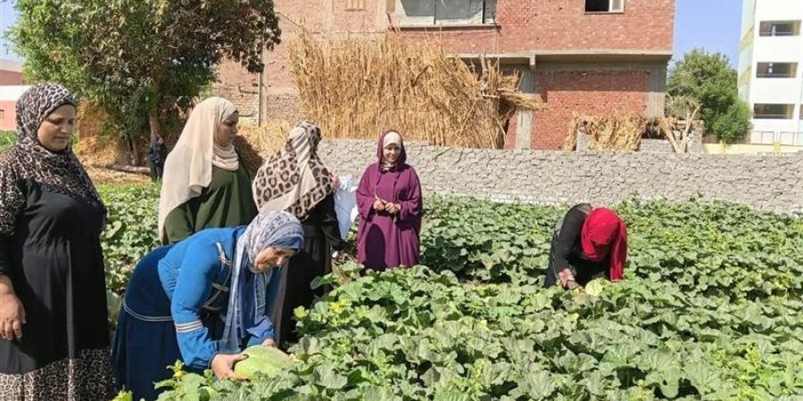 2003 مزارعين يستفيدون من المدارس الحقلية بالصعيد بينهم 612 سيدة - تواصل نيوز