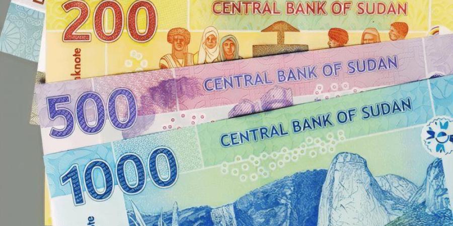 سعر الدولار مقابل الجنيه في بنك السودان المركزي اليوم الإثنين - تواصل نيوز