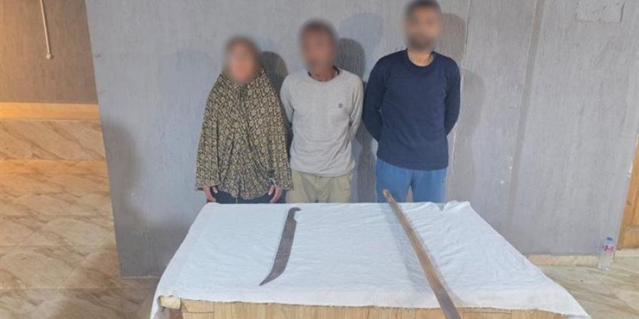 مشاجرة قديمة، ضبط شخصين وسيدة بالمنوفية بعد ظهورهم في فيديو يحملون عصا وسلاحًا أبيضًا - تواصل نيوز