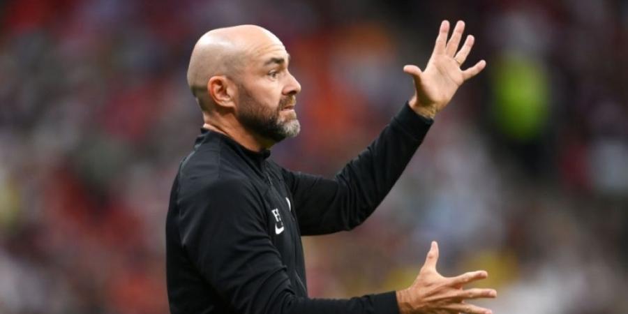 الإسباني سانشيز مدربا جديدا لمنتخب البحرين - تواصل نيوز