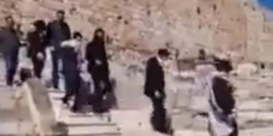 عشرات المستوطنين الإسرائيليين يقتحمون باحات المسجد الأقصى - تواصل نيوز