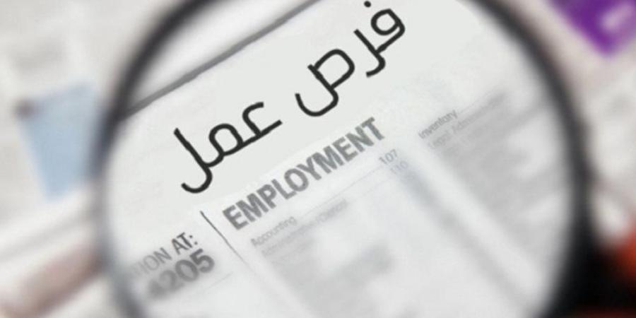 وظائف محافظة المنيا 2026، تفاصيل فرص العمل الجديدة - تواصل نيوز