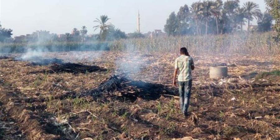 محافظ سوهاج يشكل لجانا لمواجهة حرق المخلفات الزراعية - تواصل نيوز