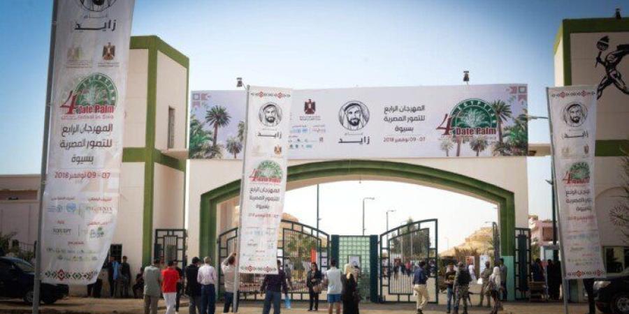 من سيوة إلى العالم.. 9 دورات لتطوير مستقبل التمور المصرية - تواصل نيوز