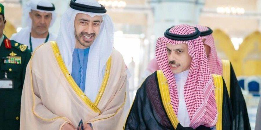 وزير الخارجية السعودي يبحث مع نظيره الإماراتي اعتداءات الحوثيين على مطار الملك خالد - تواصل نيوز