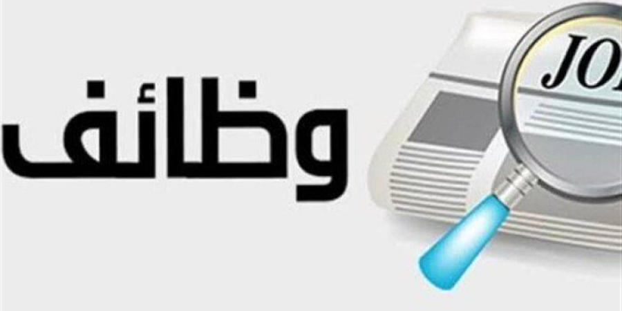 رواتب تصل 13 ألف جنيه.. 150 فرصة عمل جديدة في «القليوبية» | التخصصات والشروط - تواصل نيوز