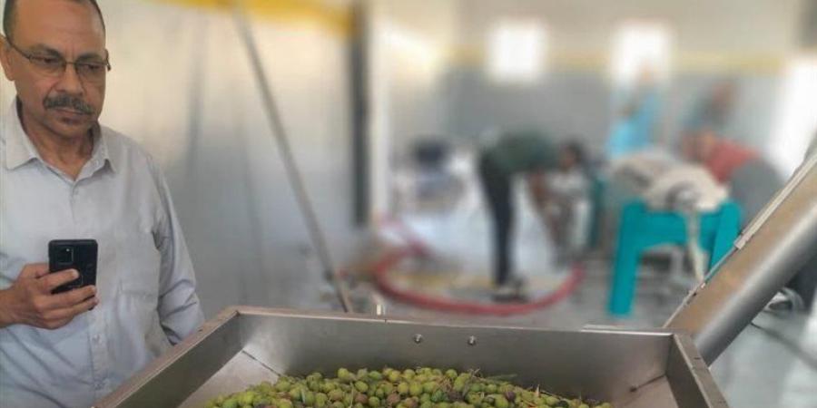 وزير الزراعة يطلق تشغيل معصرة النثيلة بسيناء لتعظيم القيمة المضافة لمحصول الزيتون - تواصل نيوز