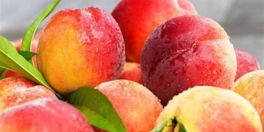 تفسير حلم أكل الخوخ في المنام وعلاقته بالراحة والسعادة - تواصل نيوز