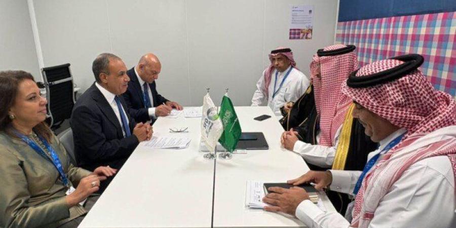 مصر تؤكد دعمها للسعودية في مواجهة التحديات الأمنية.. ومباحثات لتعزيز التعاون التنموي - تواصل نيوز