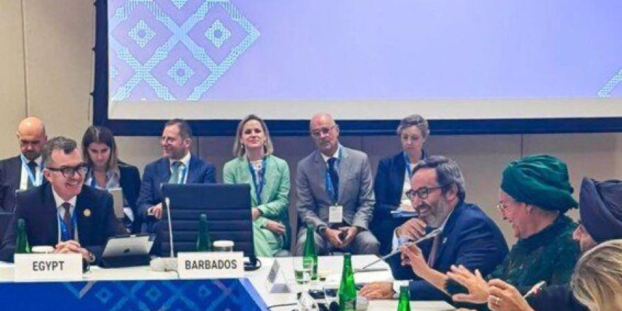وزير التخطيط يطالب ببورصة سلعية متخصصة للتعامل مع المخاطر الحالية - تواصل نيوز