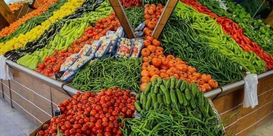 سعر الخضار اليوم، انخفاض مفاجئ في الطماطم والبطاطس والثوم وارتفاع البصل والفلفل - تواصل نيوز