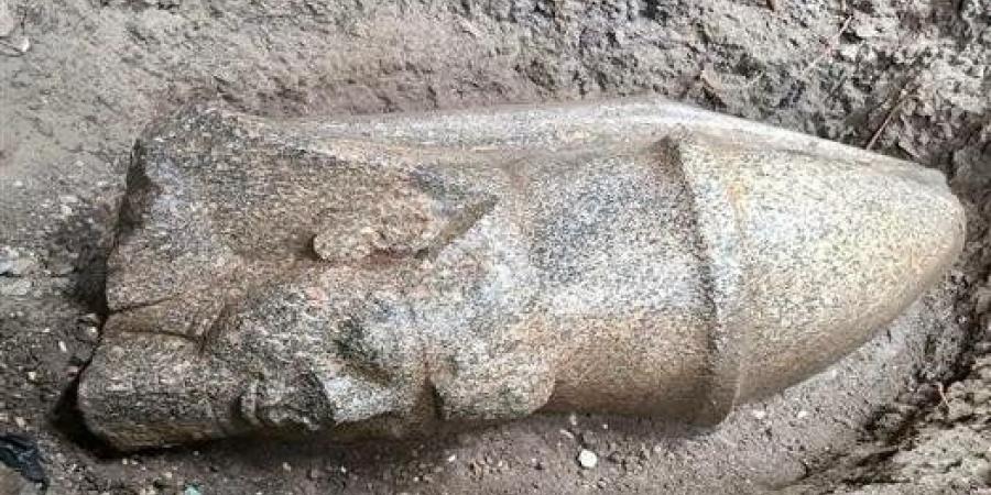 العثور على رأس رمسيس الثانى على بعد 10سم من حرث أرض زراعية - تواصل نيوز