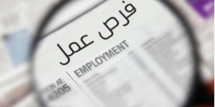 مرتبات تصل 20 ألف جنيه.. «العمل» تعلن توفير 1095 وظيفة جديدة | التخصصات والشروط - تواصل نيوز
