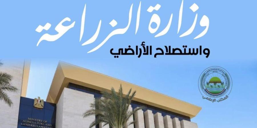 وزارة الزراعة" تعلن الانتهاء من حصاد 60% من محصول الأرز وتدوير 610 ألف طن قش لمواجهة "السحابة السوداء" - تواصل نيوز