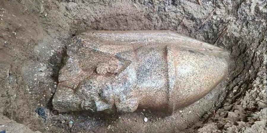 محافظ الغربية: الكشف عن بقايا تمثالين للملك رمسيس الثاني يبرز القيمة الأثرية لقرية بهبيت الحجارة (صور) - تواصل نيوز
