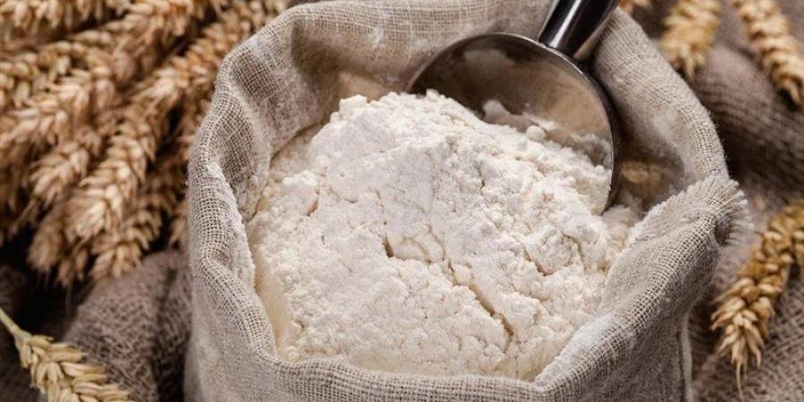 بعد شكوى مخبز دملو.. التموين تكشف حقيقة أزمة الدقيق بالقليوبية - تواصل نيوز