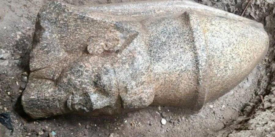 اكتشاف تمثالين ملكيين ضخمين في الغربية.. هل يعودان إلى رمسيس الثاني؟ - تواصل نيوز