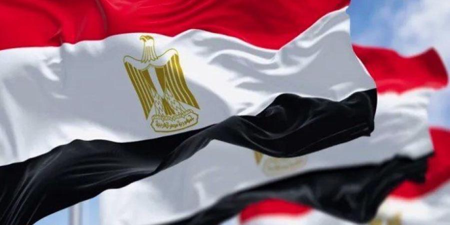 مصر تؤكد ضرورة إقامة دولة فلسطينية مستقلة على خطوط 4 يونيو 1967 - تواصل نيوز