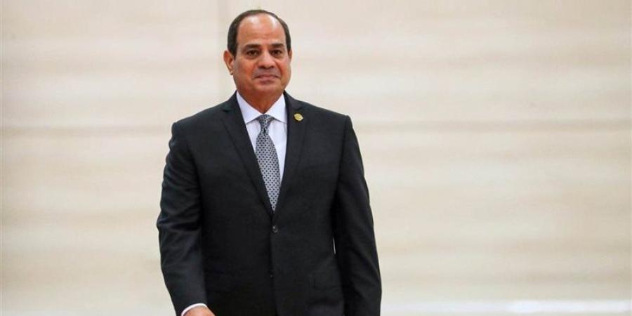 السيسي: لا توجد دولة تستطيع تحقيق خططها التنموية في سنوات قليلة - تواصل نيوز