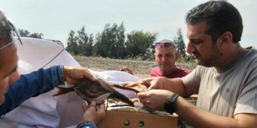 ضبط 2.8 طن من الأغذية غير الصالحة للاستهلاك الآدمي خلال حملات رقابية مكثفة بالغربية - تواصل نيوز
