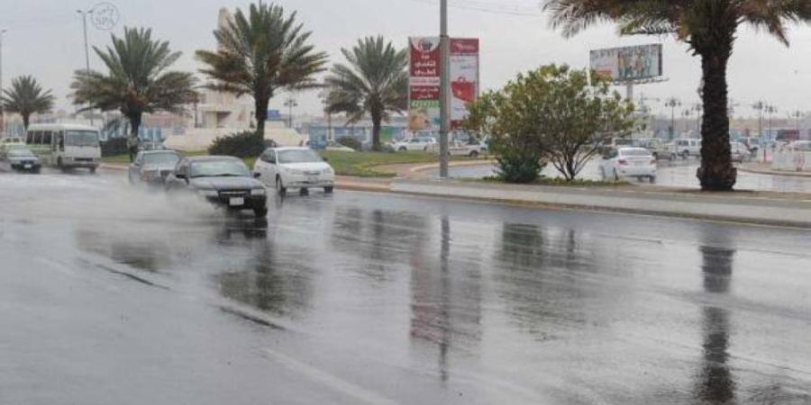 «التعليم»: الأمطار الغزيرة والرياح الشديدة تتصدر معايير تعليق الدراسة الحضورية - تواصل نيوز
