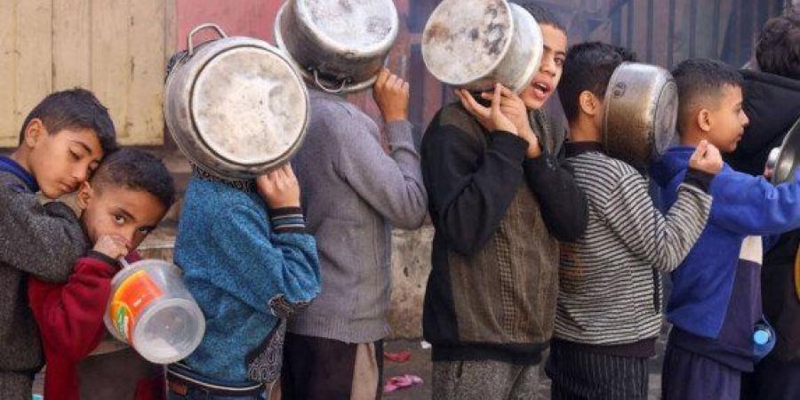 تسجيل 466 حالة وفاة في قطاع غزة بسبب سوء التغذية والتجويع منذ 2024 بينهم 157 طفلًا - تواصل نيوز