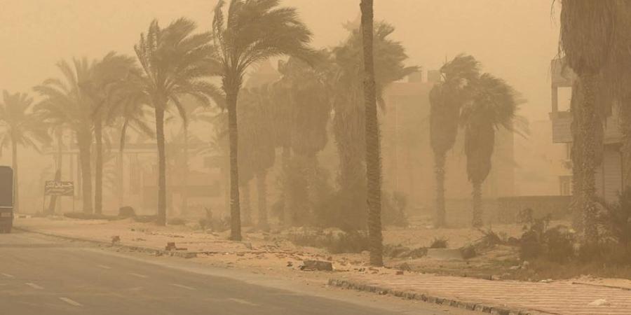 الأرصاد الجوية: انخفاض بالحرارة وأمطار متفاوتة الشدة والصغرى بالقاهرة 19 درجة - تواصل نيوز