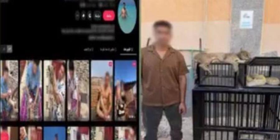 ضبط البلوجر هشام ديشا بكفر الشيخ لتربية ونشر فيديوهات لحيوانات وزواحف خطرة - تواصل نيوز