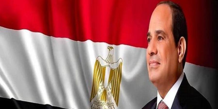 عقد من المواجهة.. كيف أسقطت الدولة المصرية الإرهاب وبنَت الإنسان؟ - تواصل نيوز