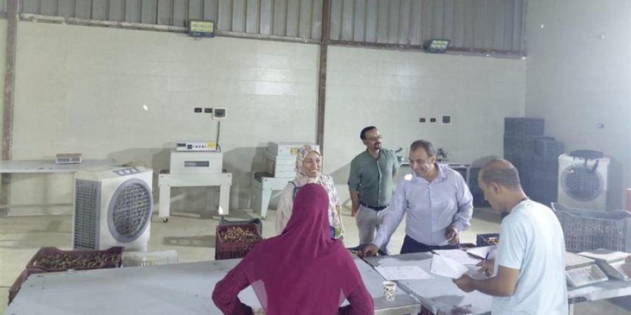 حملة سلامة مهنية على مصانع البلح بالخارجة لحماية العاملين والمنشآت - تواصل نيوز