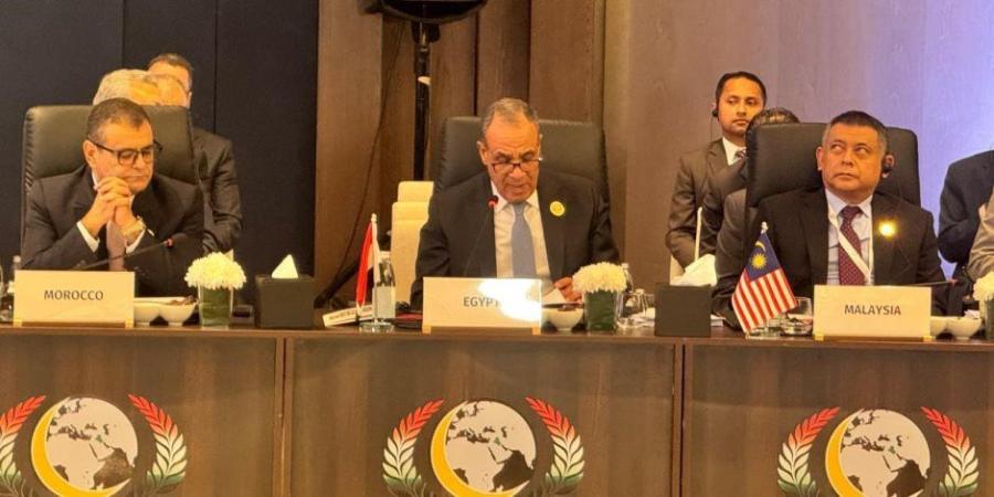 وزير الخارجية يلقي كلمة مصر في اجتماعات الدورة الـ 52 لمجلس وزراء خارجية منظمة التعاون الإسلامي - تواصل نيوز