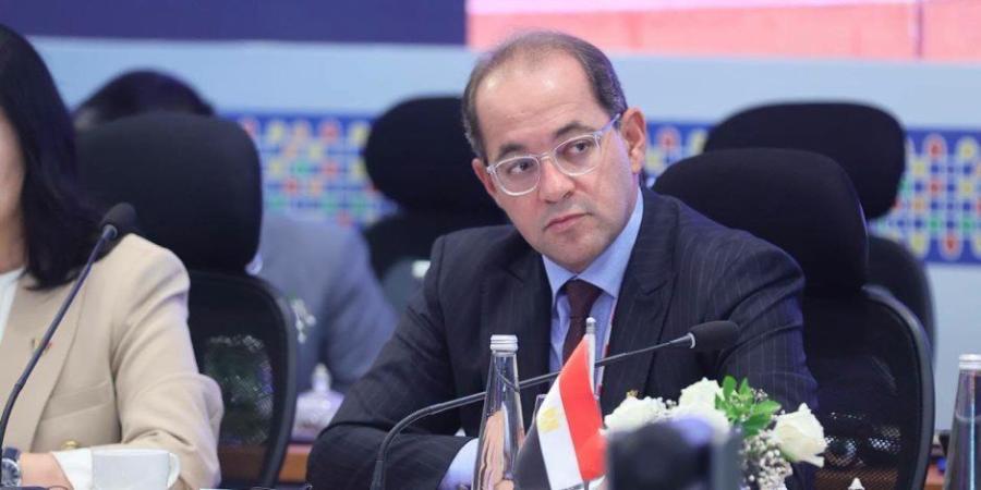 بعد رفع تصنيف مصر.. وزير المالية: الإصلاح أدى لاستقرار الأوضاع وتحسن الاحتياطات - تواصل نيوز