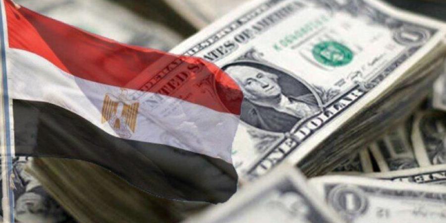 البنك الدولي: الدين الخارجي لمصر يرتفع إلى 166.45 مليار دولار - تواصل نيوز