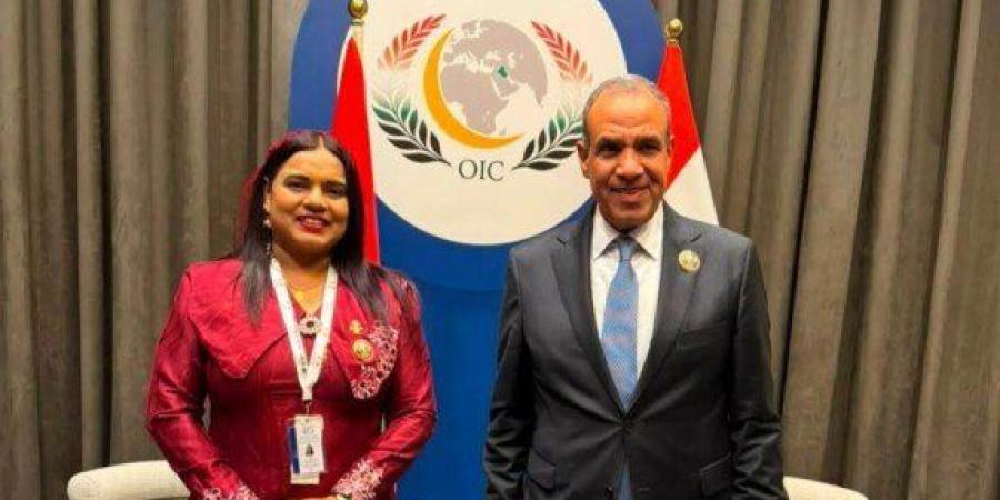 عبد العاطي: تشكيل جمعية الصداقة البرلمانية المصرية - المالديفية يعزّر الحوار بين البلدين - تواصل نيوز