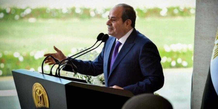 رسالة حوثية إلى القاهرة عشية تفويض السيسي.. وتحذيرات من التدخل العسكري لدعم السعودية - تواصل نيوز