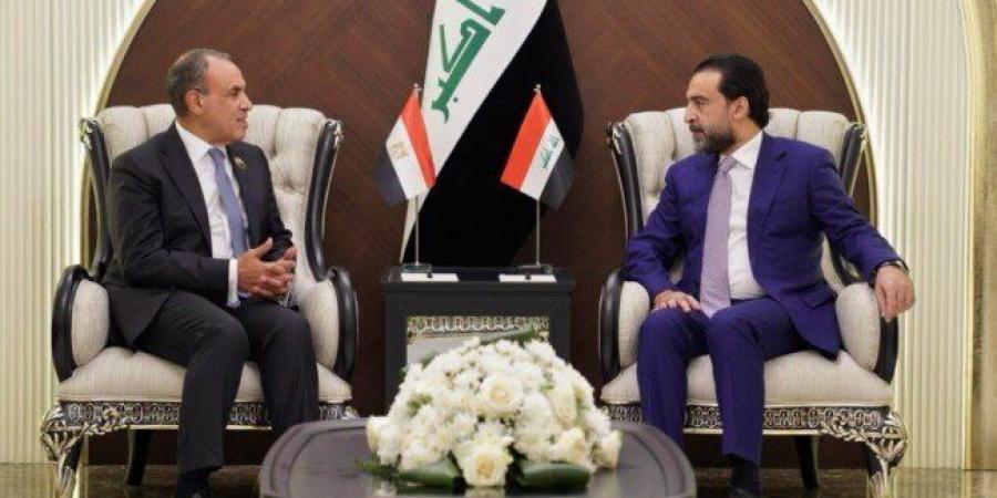 مصر تعزز تعاونها الاقتصادي مع العراق وتدفع بمشروعات الربط النفطي والكهربائي - تواصل نيوز