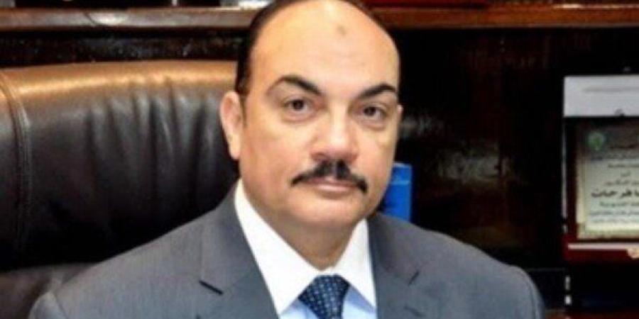 رضا فرحات: تحرك مصر لدعم الخليج يستند إلى الدستور والقانون الدولي - تواصل نيوز