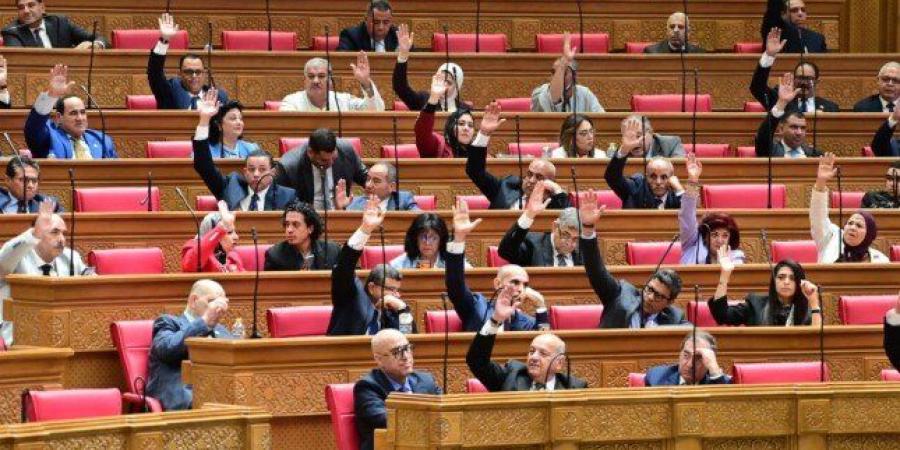 «النواب» يجتمع اليوم لبحث إرسال قوات عسكرية في مهمة دفاعية عن السعودية - تواصل نيوز