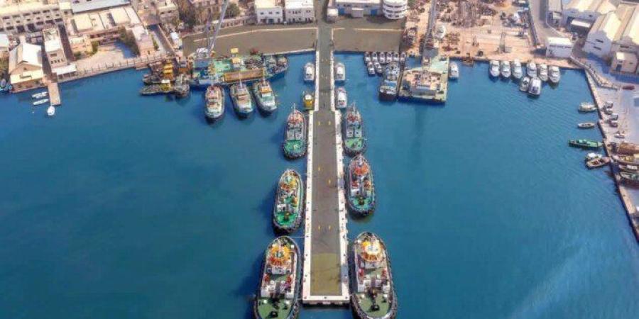 شعبة النقل: محطة «تحيا مصر» بميناء الإسكندرية تساهم في تعزيز التحول الرقمي وتقليل تكدس الشاحنات - تواصل نيوز