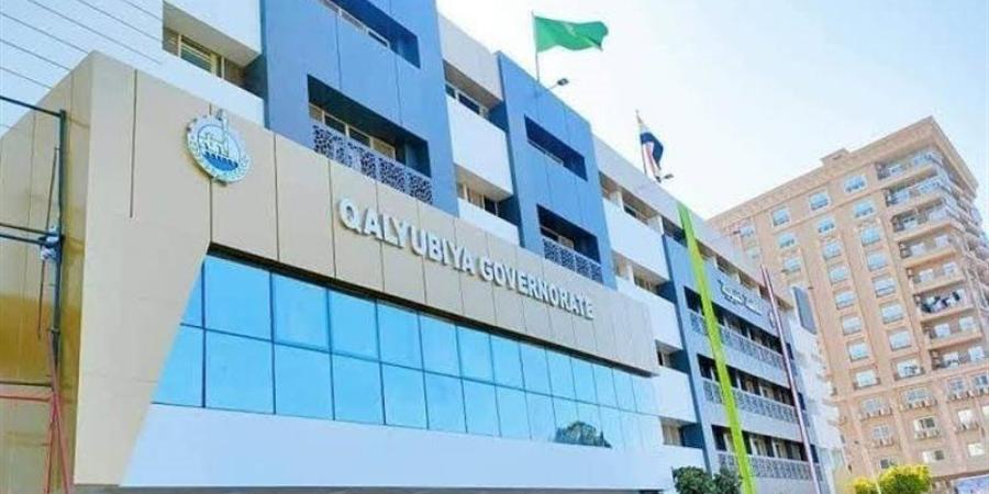 صحة القليوبية تعلن فتح باب التعاقد مع أطباء بشريين في 4 تخصصات - تواصل نيوز