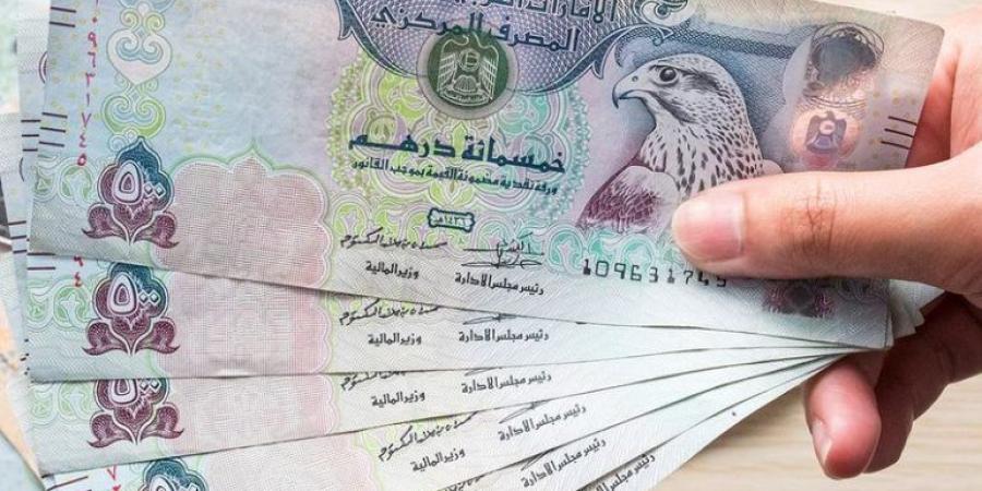 سعر الدرهم الإماراتي مقابل الجنيه اليوم.. الأحد 18 أكتوبر 2026 - تواصل نيوز