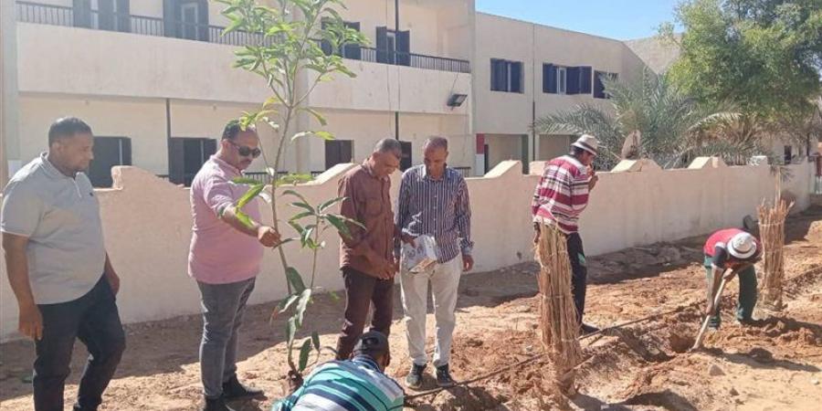 مبادرة «اطلب شجرة» تفتح أبواب التشجير أمام مواطني الداخلة بالوادي الجديد - تواصل نيوز