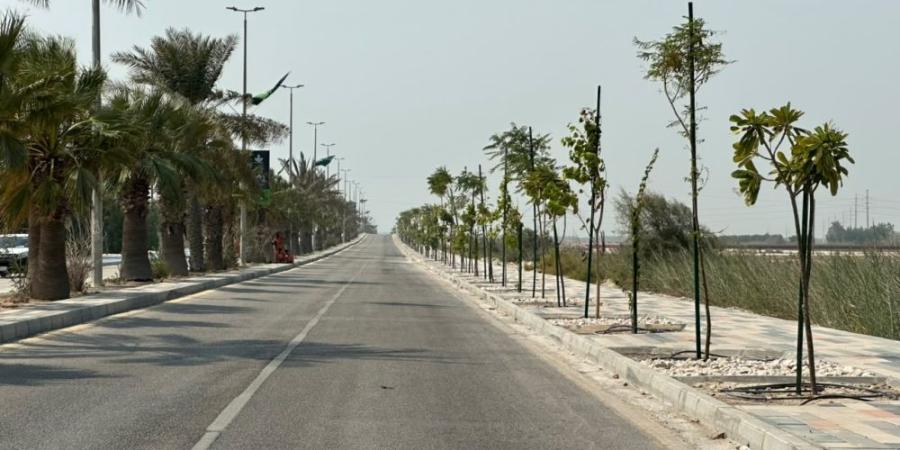 30 ألف متر مربع من المسطحات الخضراء في رأس تنورة خلال أكتوبر - تواصل نيوز