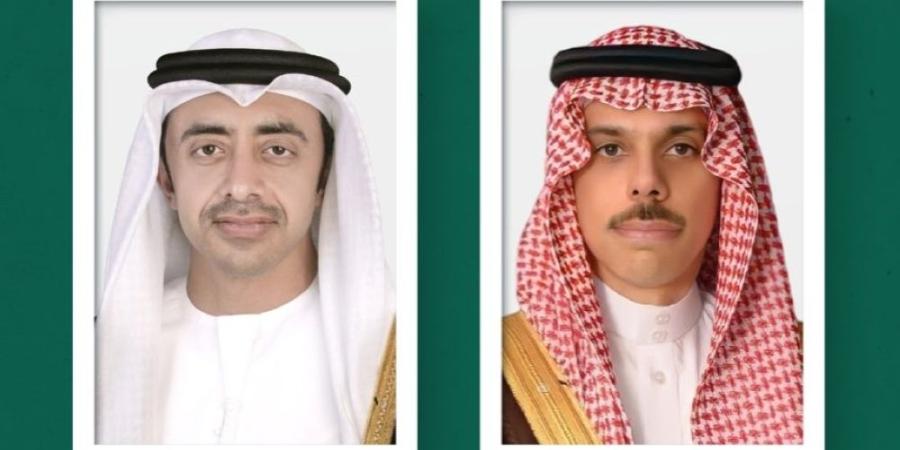 هاتفيًا.. وزير الخارجية يناقش اعتداءات ميليشيا الحوثي مع نظيره الإماراتي - تواصل نيوز