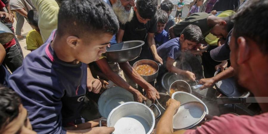 "الأغذية العالمي" يعلن وقف المساعدات لنصف مليون شخص في غزة - تواصل نيوز