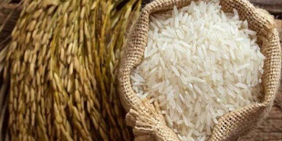 سعر طن الأرز الشعير اليوم الاثنين 19 أكتوبر في الأسواق.. الحبة الرفيعة والعريضة بكام؟ - تواصل نيوز