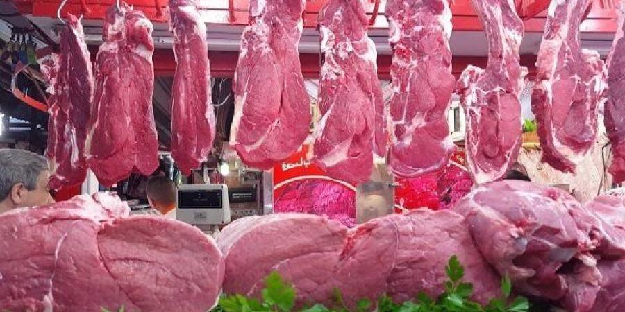 أسعار اللحوم اليوم الاثنين 19 أكتوبر 2026.. الكندوز بكام؟ - تواصل نيوز